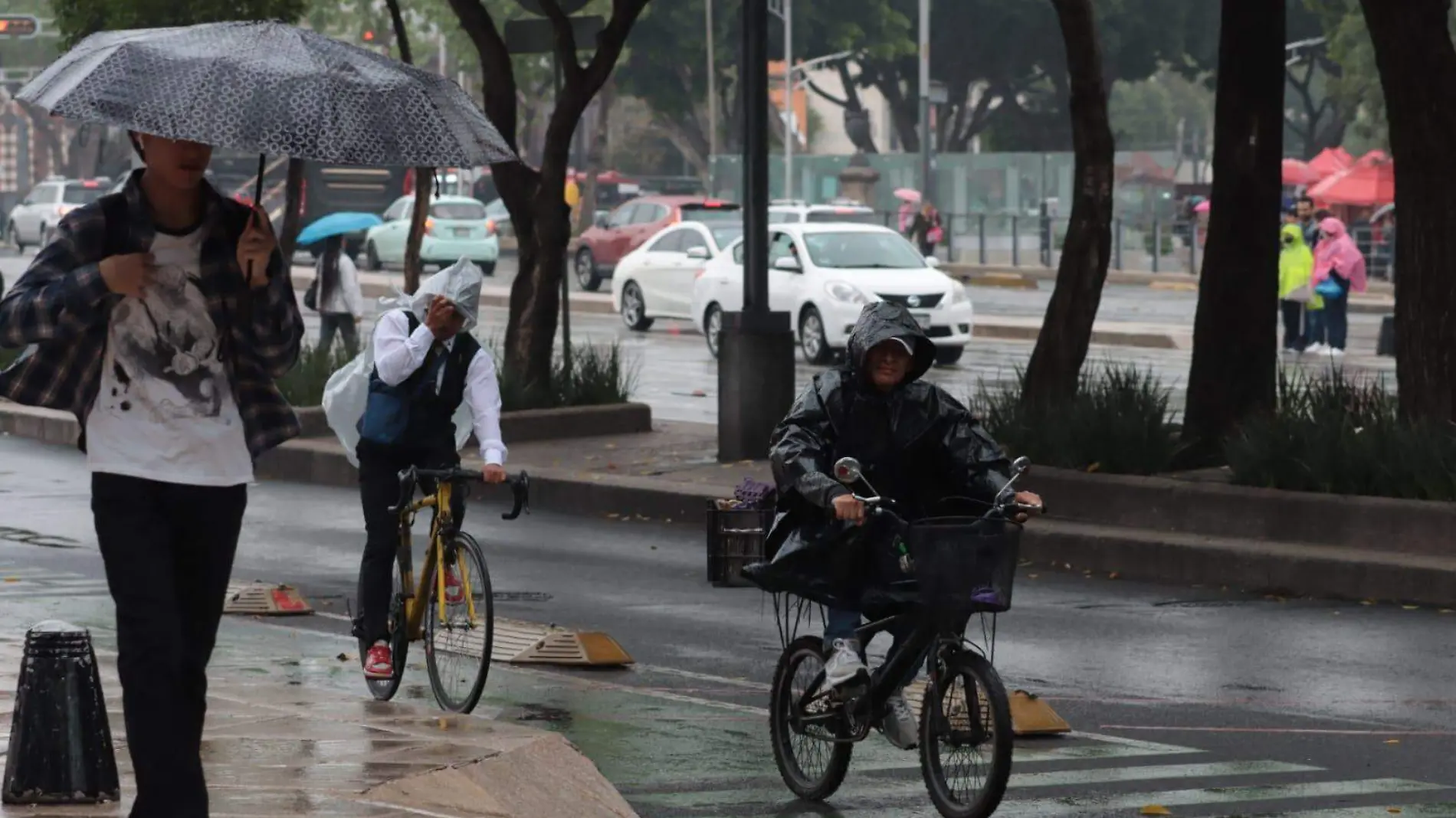 lluvias cdmx LUIS BARRERA